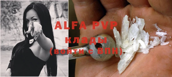 молекула духа Балахна