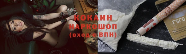 сатива Баксан