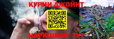бошки Гагарин