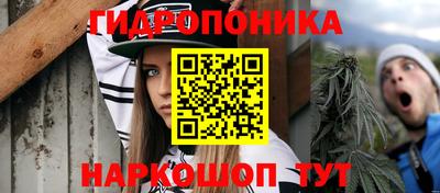 мдма Гай