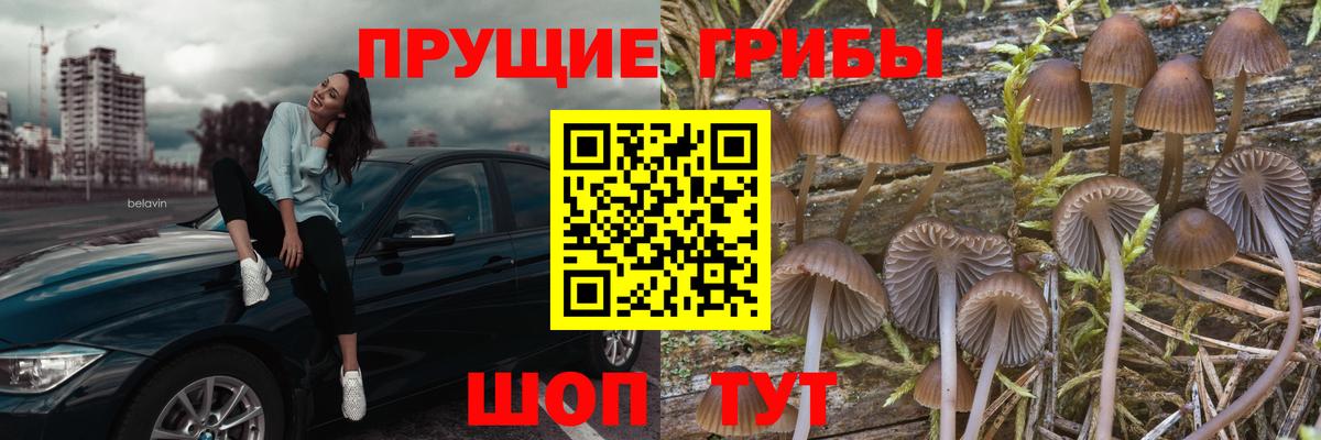 Ногинск  Псилоцибиновые грибы мицелий  Вход с VPN  магазин продажи наркотиков  Псилоцибиновые грибы Magic Shrooms 